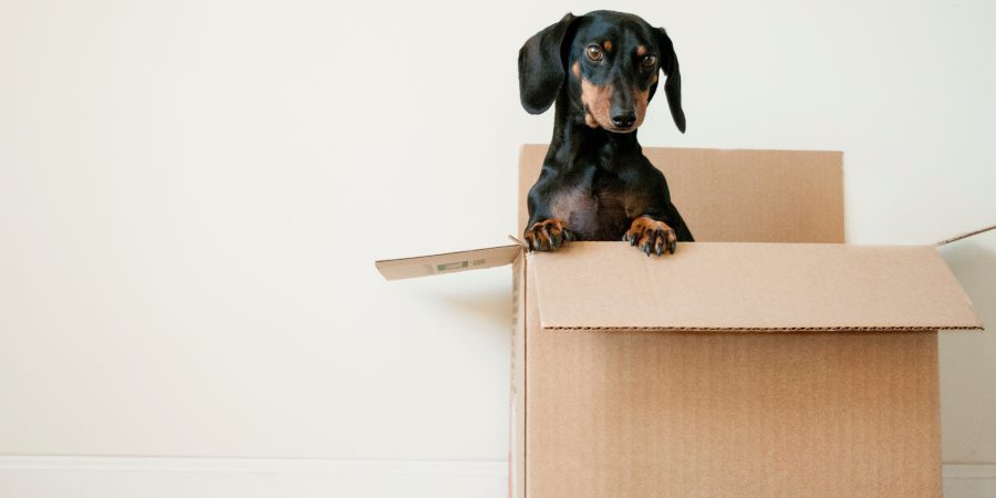 Things to know about moving insurance