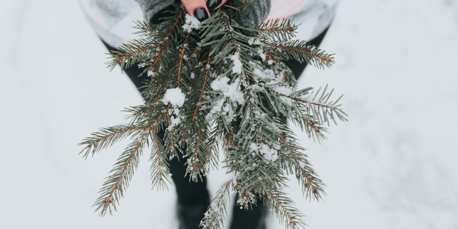 Holiday money smart tips, as submitted by you!