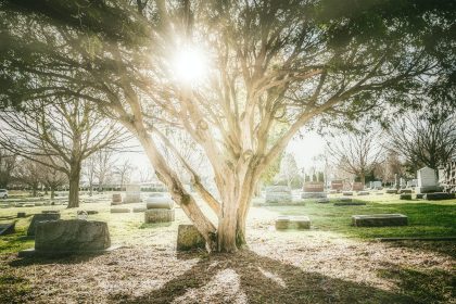 The reselling of burial plots