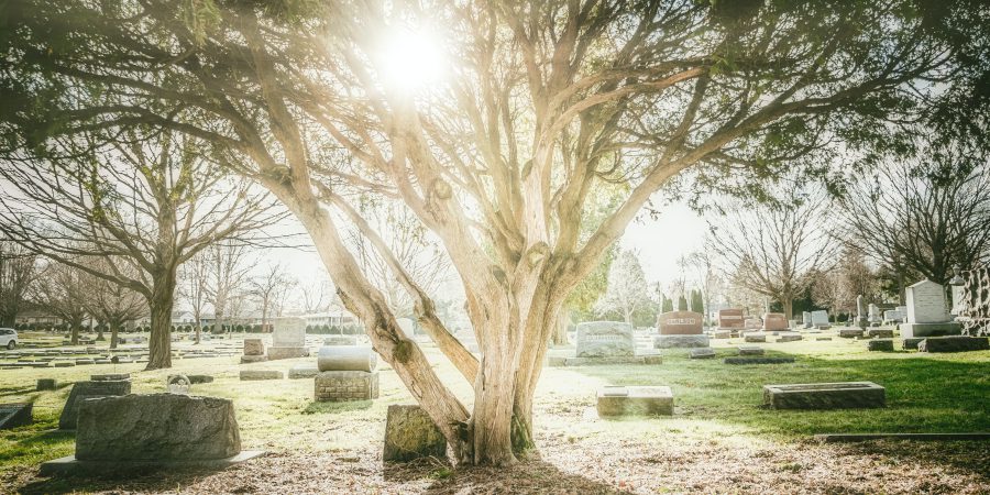 The reselling of burial plots