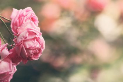 Pre-paying for your end-of-life arrangements…what’s right for you?