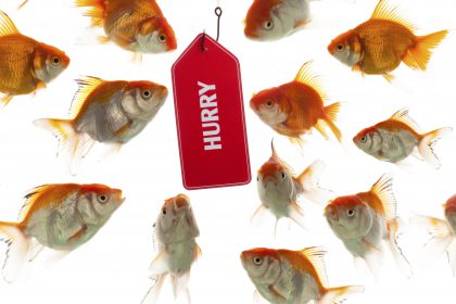Top 10 scams of 2015 presented by BBB