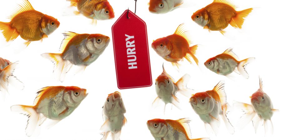 Top 10 scams of 2015 presented by BBB