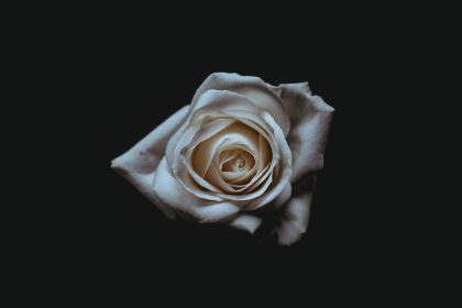 Do you need a container when you are cremated?
