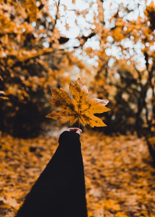 Halloween tricks (and treats) to save you money 