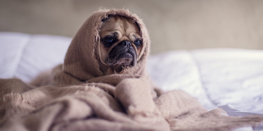 5 tips for setting up an “uh-oh” fund