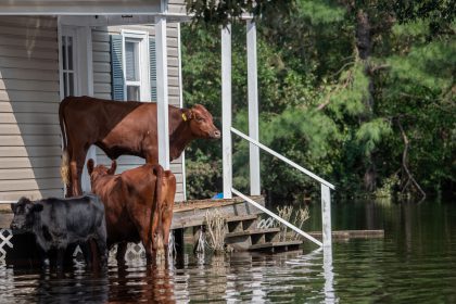 What to do when your home is impacted by a natural disaster