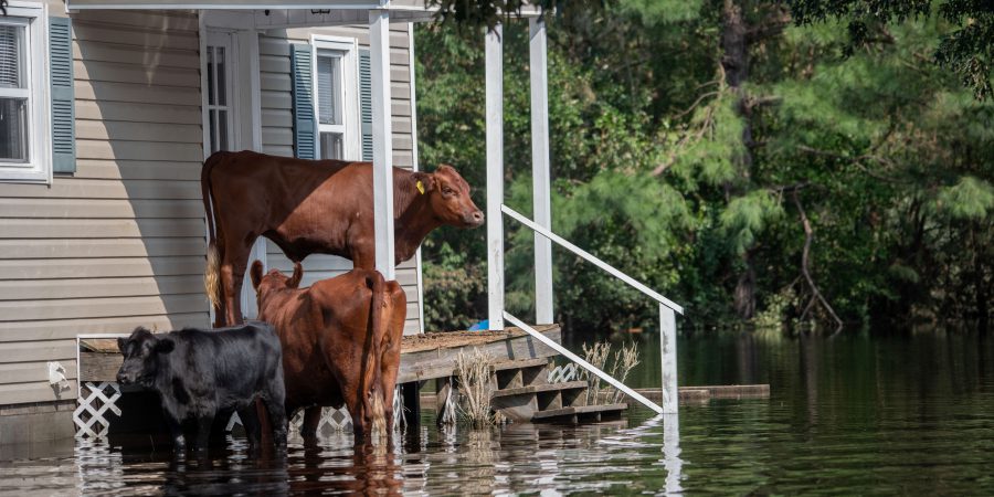 What to do when your home is impacted by a natural disaster