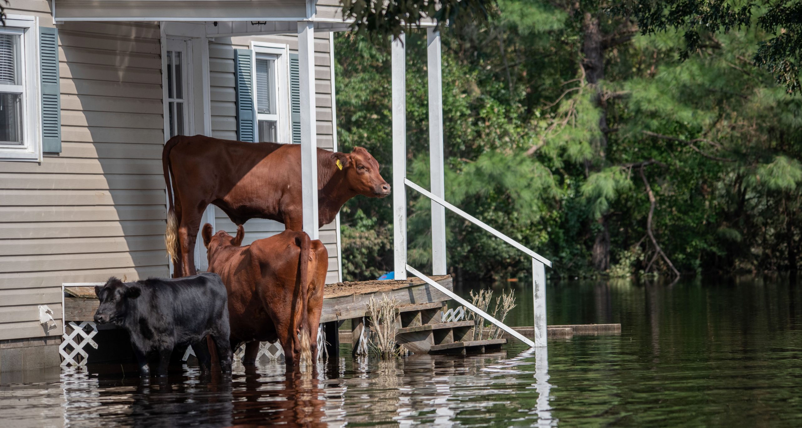 What to do when your home is impacted by a natural disaster