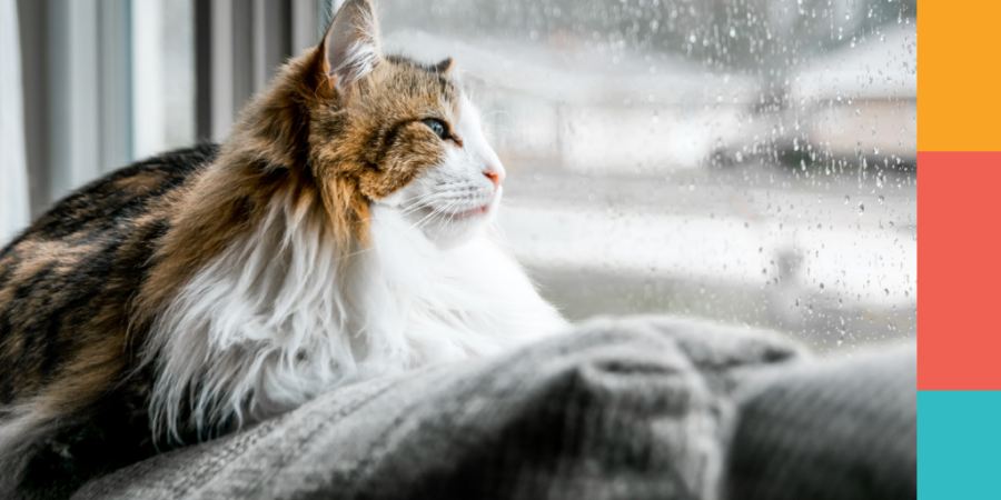 How to save for a rainy day