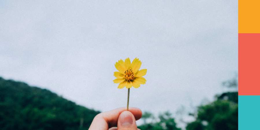 4 ways to manage debt