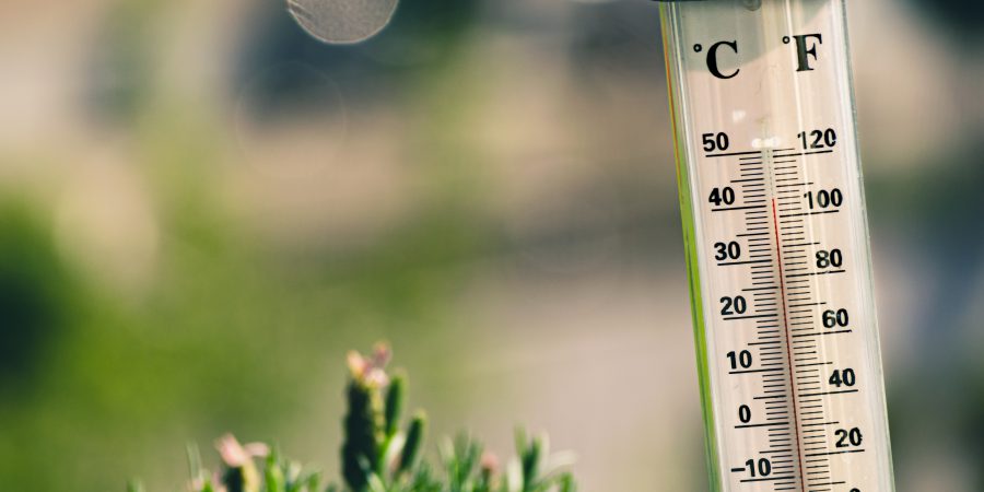 Indicate tips to stay cool in the summer