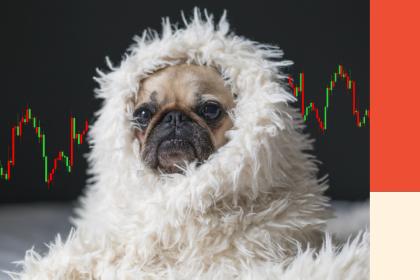 A dog wrapped up in a blanket with stock charts in the background. Image for a blog post on how to prepare for rising interest rates.