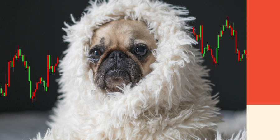 A dog wrapped up in a blanket with stock charts in the background. Image for a blog post on how to prepare for rising interest rates.