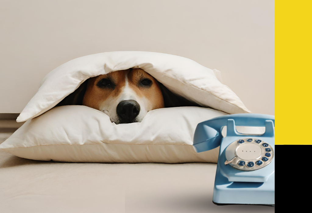 A dog hiding under a blanket. Image for a resources page about how to get the calls to stop.