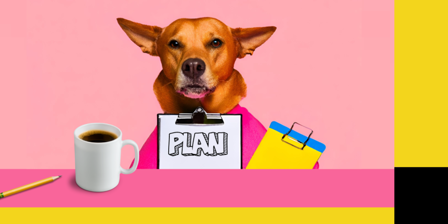 How to make a plan to manage your debt