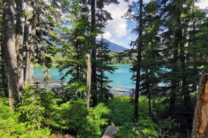 Image of a pacific northwest natural landscape - Where can ashes be scattered?