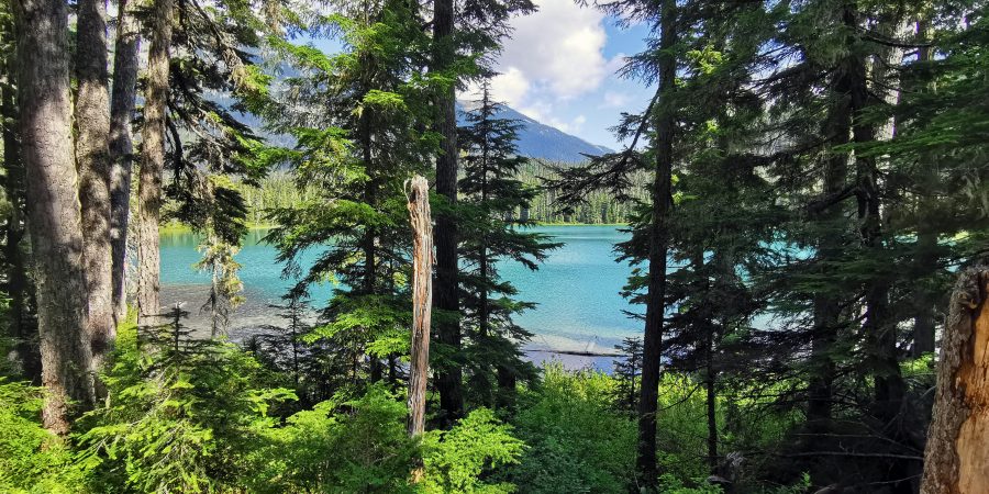 Image of a pacific northwest natural landscape - Where can ashes be scattered?